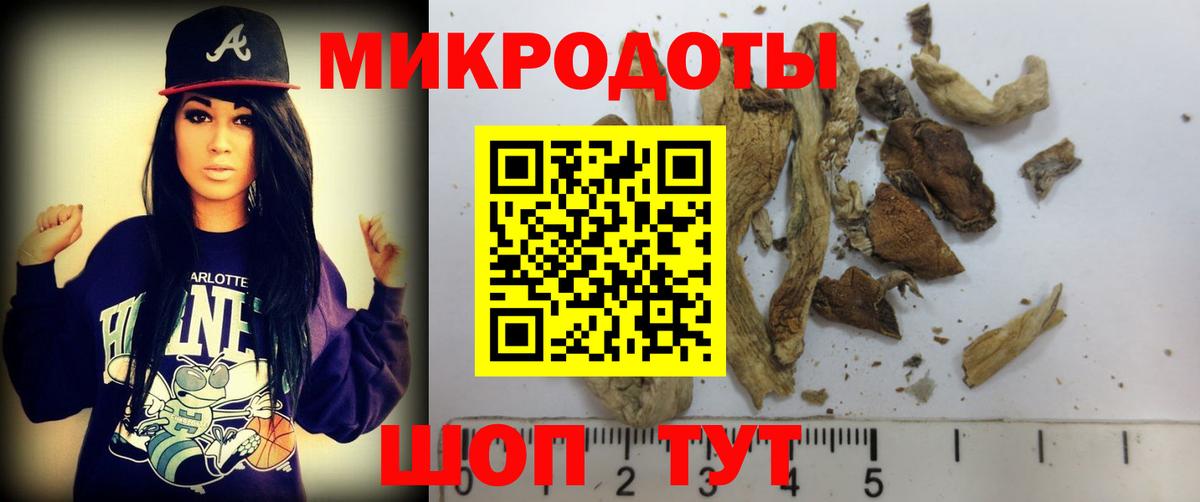 Галлюциногенные грибы Magic Shrooms Хабаровск